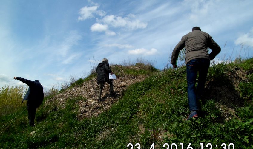 GEAB-Altlast Bernau: Grüne fordern nachhaltige Sanierung