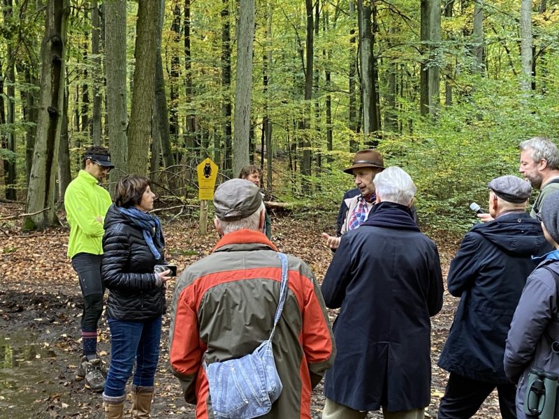 Grumsin-241020 Exkursion ins Weltnaturerbe