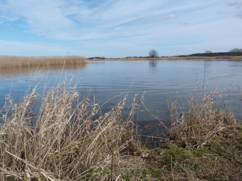 Oder Einladung zur Informationsveranstaltung zum Oderausbau